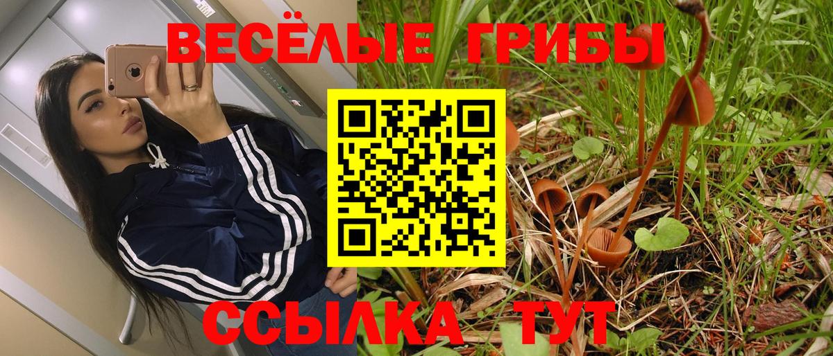 Галлюциногенные грибы Psilocybe  Вход с VPN  Калач-на-Дону 