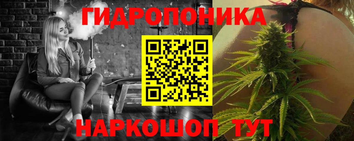 Бошки марихуана LSD WEED  Конопля план  МАРИХУАНА OG Kush  Вход с VPN  Калач-на-Дону  Конопля SATIVA & INDICA 